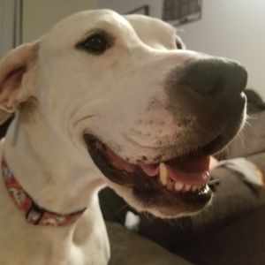 Meet your Posher, Cullen